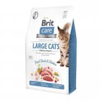 BRIT CARE dla kota Grain Free Large Cats power vitality - 2kg
