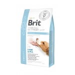 Brit Veterinary Diet Obesity Lamb & Pea sucha karma dla psa - 2kg  (uszkodzone opakowanie)