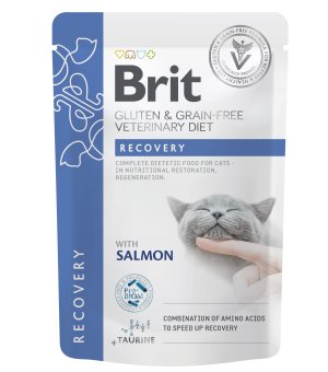 Brit Veterinary Diet Recovery Salmon - mokra karma dla kota fileciki w sosie - 85g