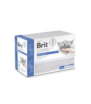 K. Brit Veterinary Diet Recovery Salmon - mokra karma dla kota fileciki w sosie - 12x 85g