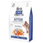 Karma sucha dla kociąt BRIT CARE Cat GF Kitten Digestion and Immunity łosoś 2kg